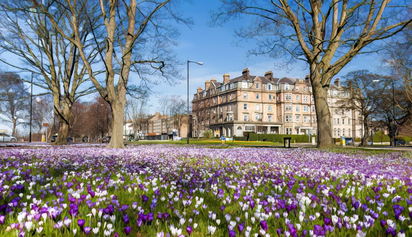 The Cairn, Harrogate