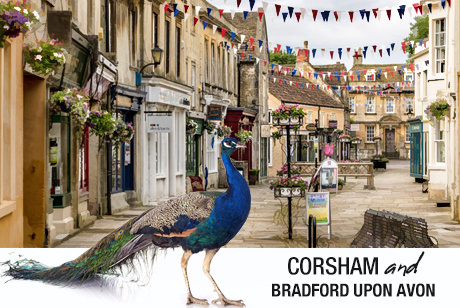 Corsham and Bradford